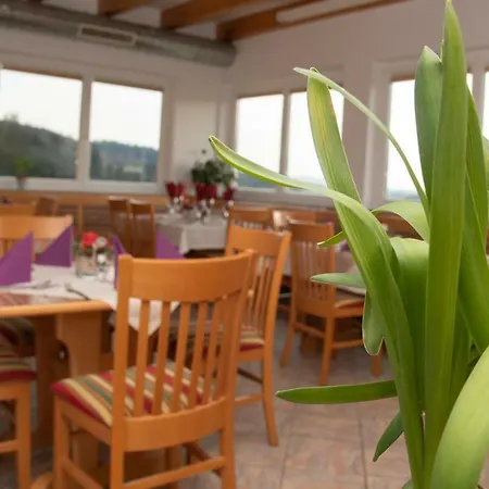 Tauser אורחן Silberegg